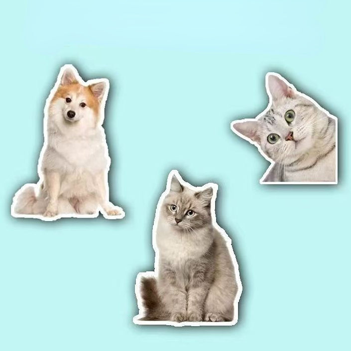 Custom Pet Photo Waterproof Luggage Sticker β Personalized Bumper Sticker