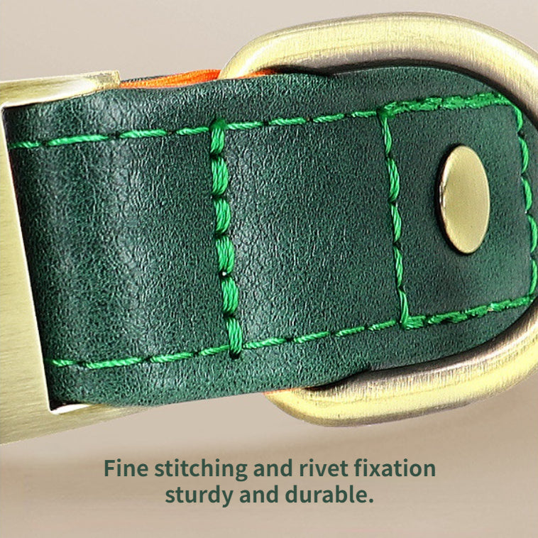Custom Engraved Pet Information Anti-Lost Snap Buckle Quick-Release Faux Leather Pet Collar