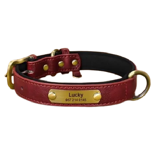 Custom Engraved Pet Information Anti-Lost Faux Leather Pet Collar