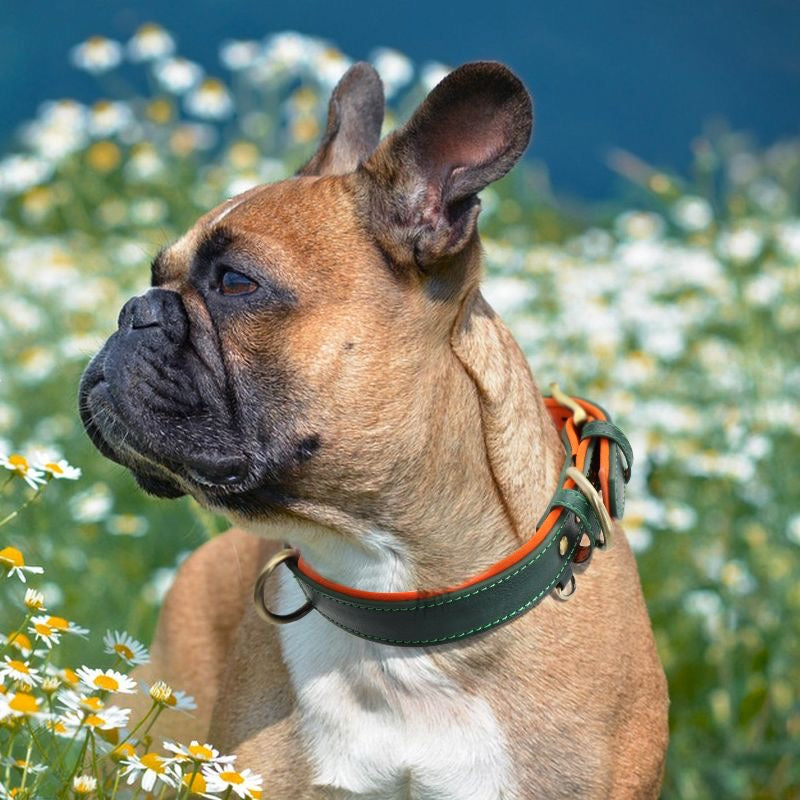 Custom Engraved Pet Information Anti-Lost Faux Leather Pet Collar