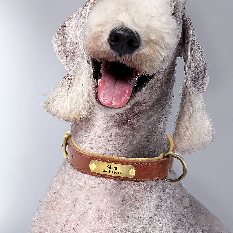 Custom Engraved Pet Information Anti-Lost Faux Leather Pet Collar
