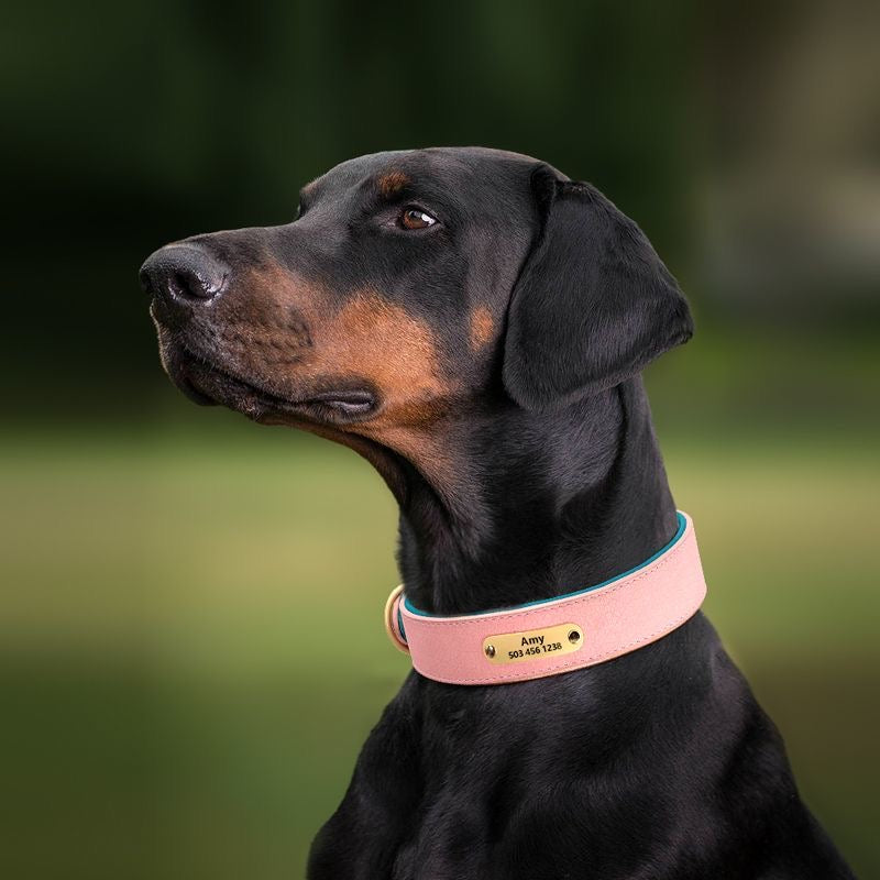 Custom Engraved Pet Information Anti-Lost Faux Leather Pet Collar