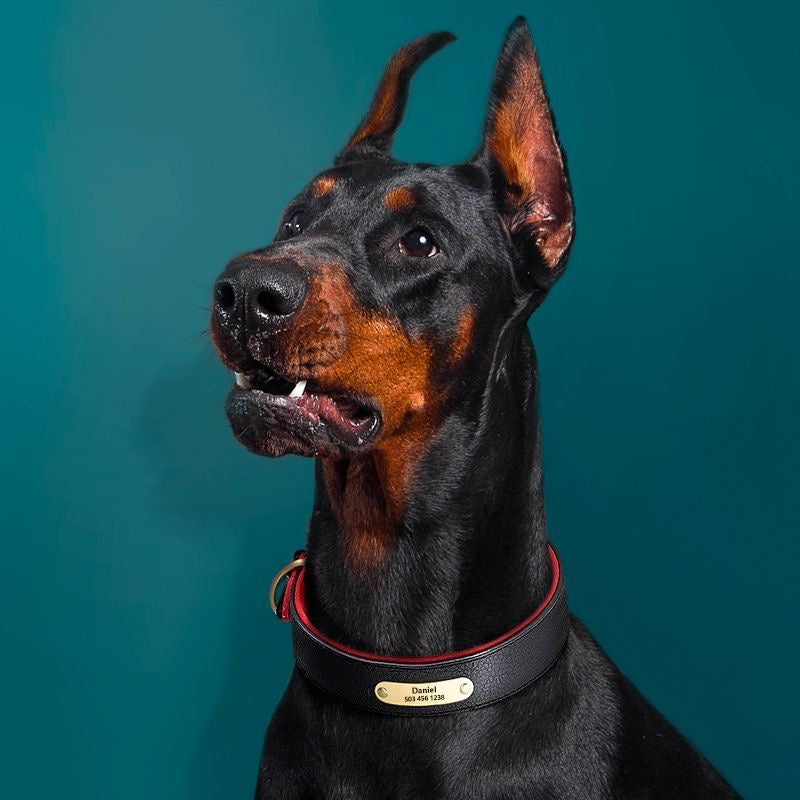 Custom Engraved Pet Information Anti-Lost Faux Leather Pet Collar