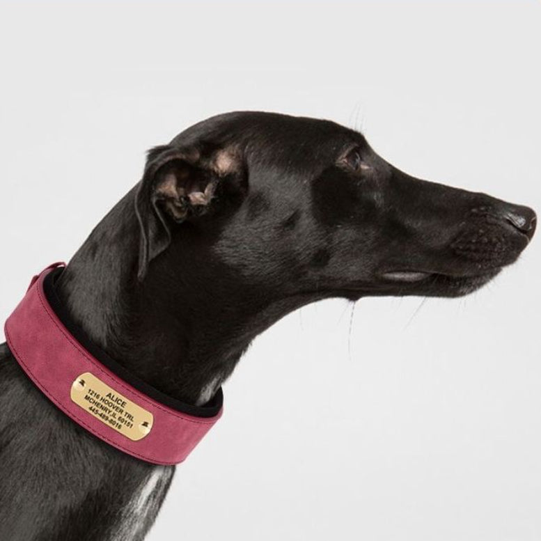 Widened & Thickened Faux Leather Pet Collar with Custom Engraved Pet Information – Anti-Lost, Designed for Medium and Large Dogs