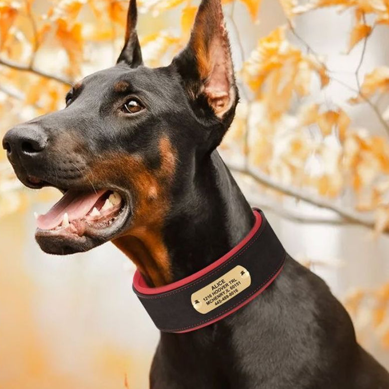 Widened & Thickened Faux Leather Pet Collar with Custom Engraved Pet Information – Anti-Lost, Designed for Medium and Large Dogs