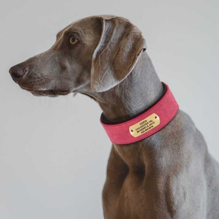 Widened & Thickened Faux Leather Pet Collar with Custom Engraved Pet Information – Anti-Lost, Designed for Medium and Large Dogs