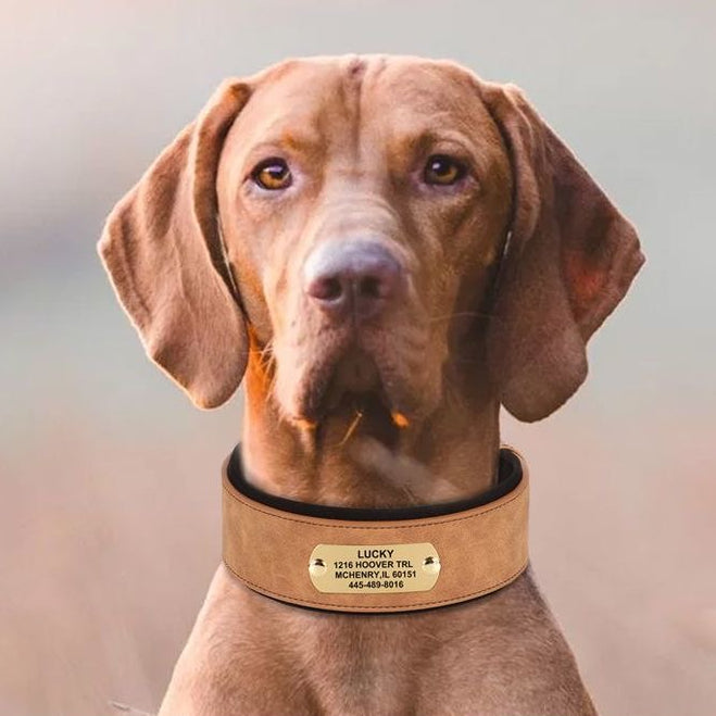 Widened & Thickened Faux Leather Pet Collar with Custom Engraved Pet Information – Anti-Lost, Designed for Medium and Large Dogs