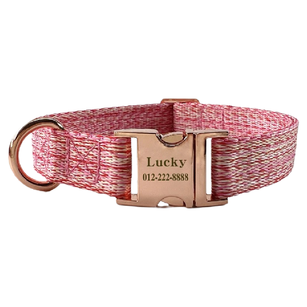 Custom Engraved Pet Information Anti-Lost Pet Webbing Collar