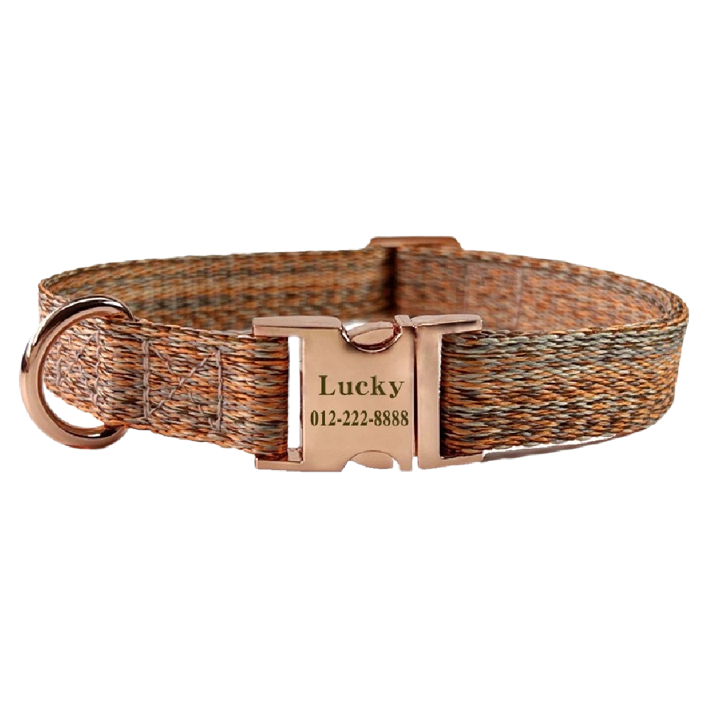Custom Engraved Pet Information Anti-Lost Pet Webbing Collar