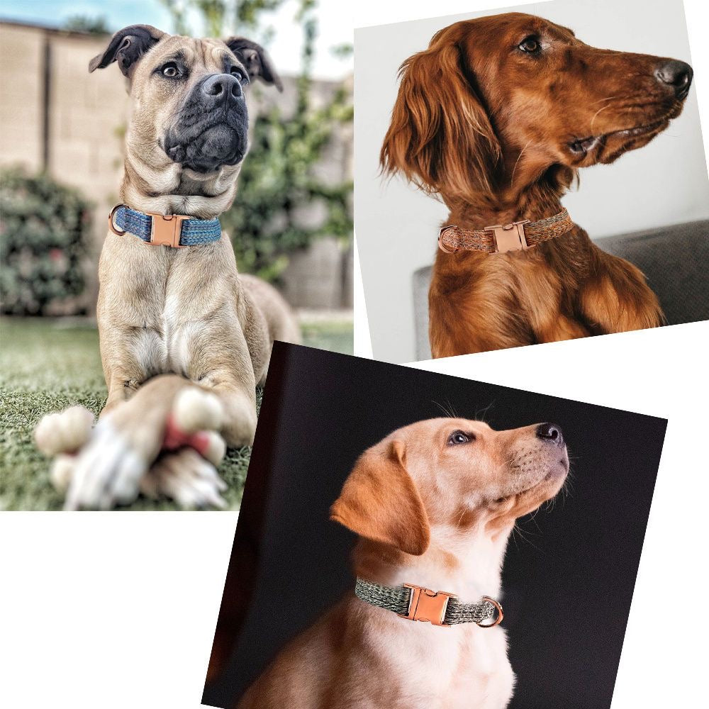 Custom Engraved Pet Information Anti-Lost Pet Webbing Collar