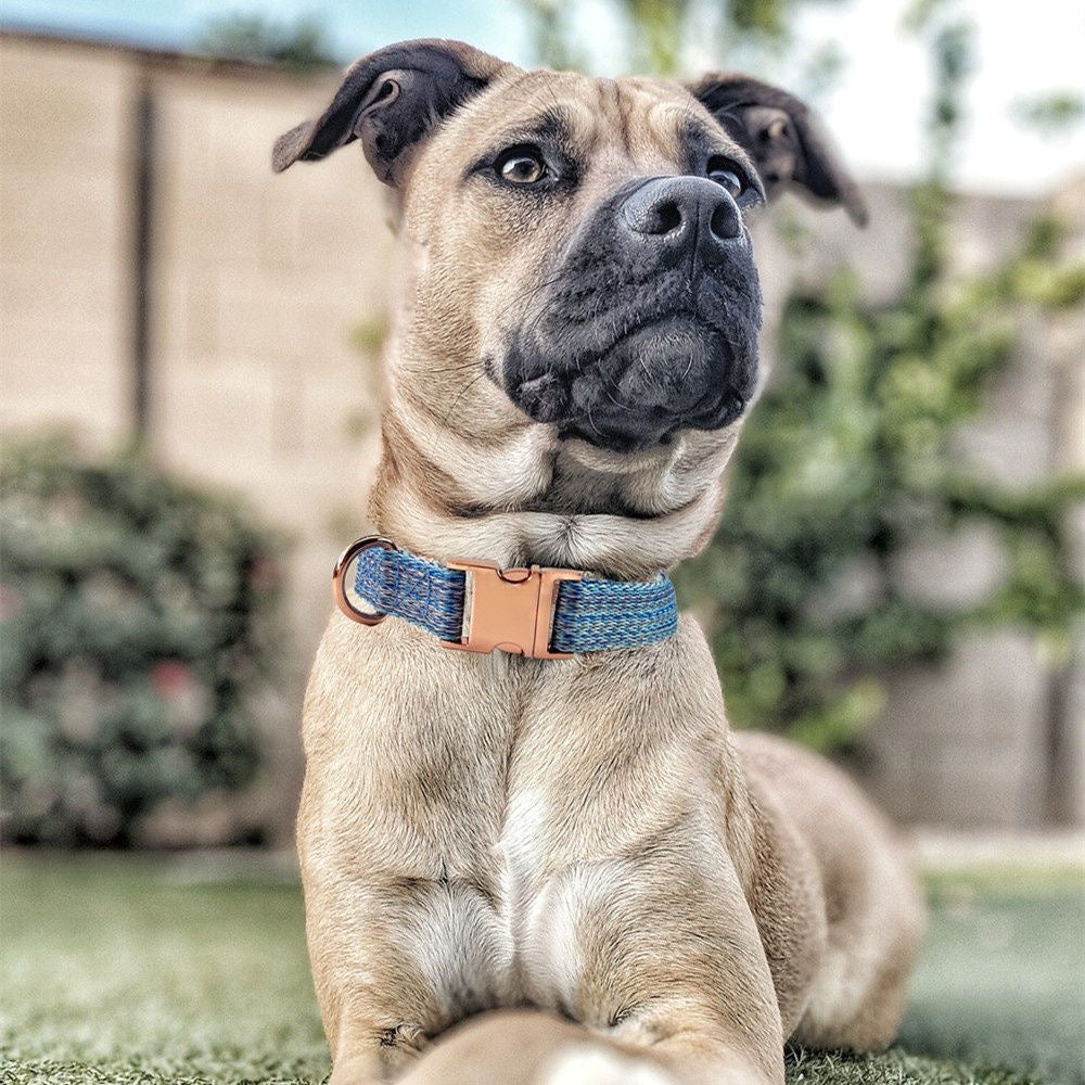 Custom Engraved Pet Information Anti-Lost Pet Webbing Collar
