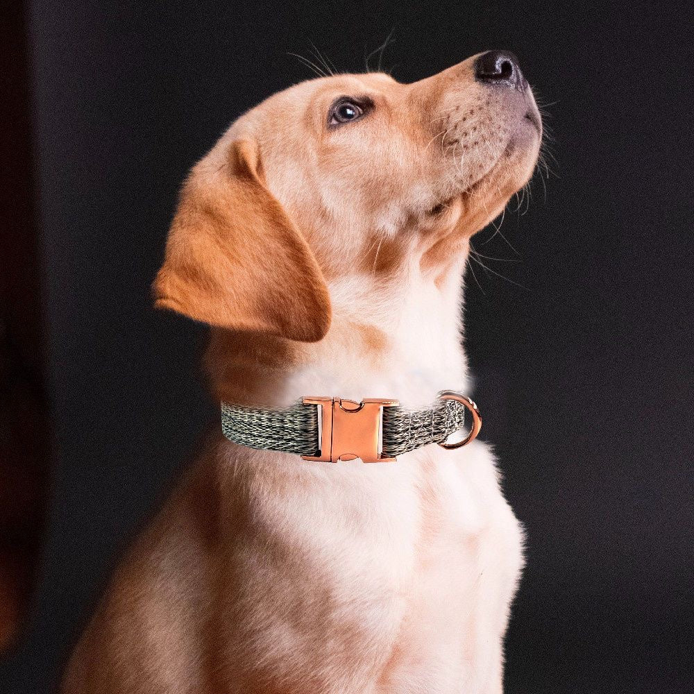 Custom Engraved Pet Information Anti-Lost Pet Webbing Collar