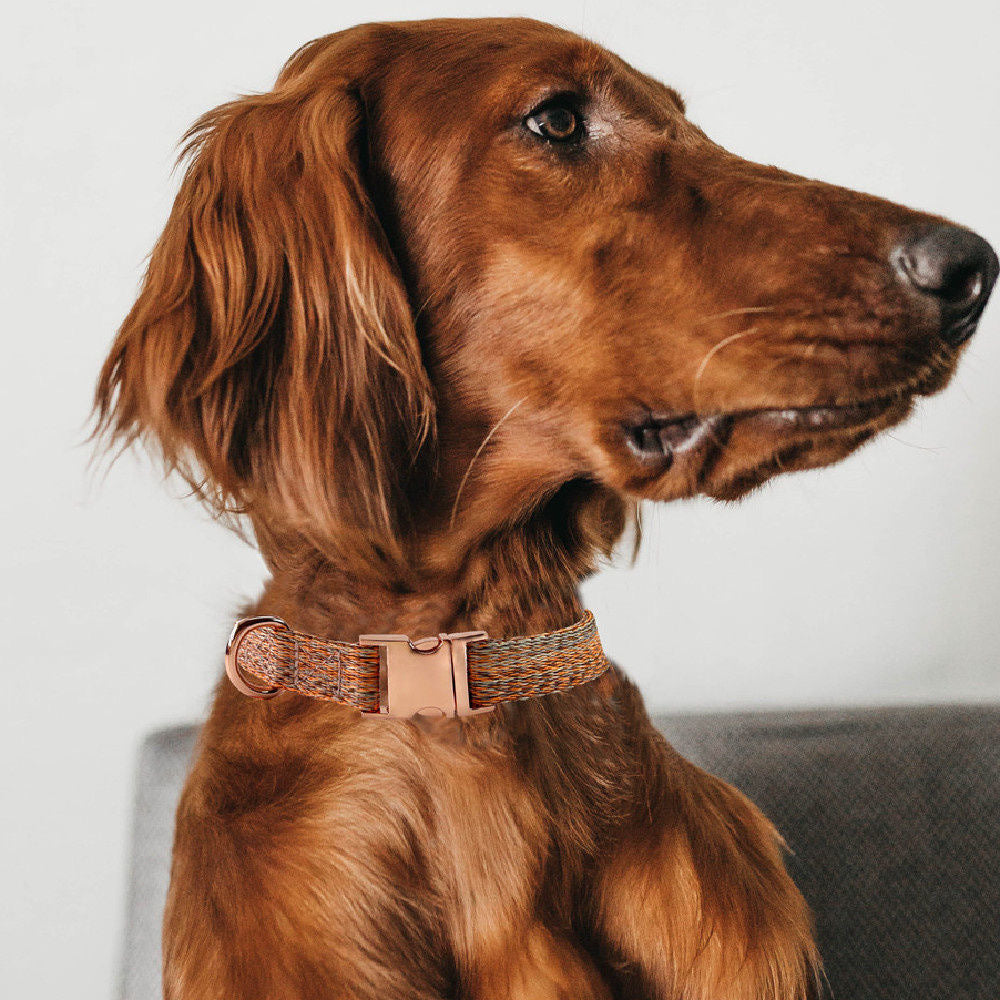 Custom Engraved Pet Information Anti-Lost Pet Webbing Collar