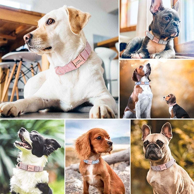 Custom Engraved Pet Information Anti-Lost Pet Webbing Bowtie Collar