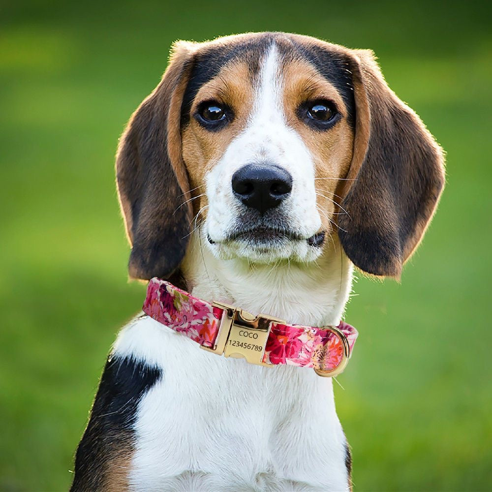 Custom Engraved Pet Information Anti-Lost Pet Colorful Patterned Webbing Collar