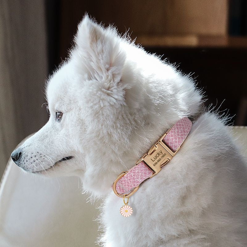 Custom Engraved Pet Information Anti-Lost Pet Macaron-Colored Webbing Collar