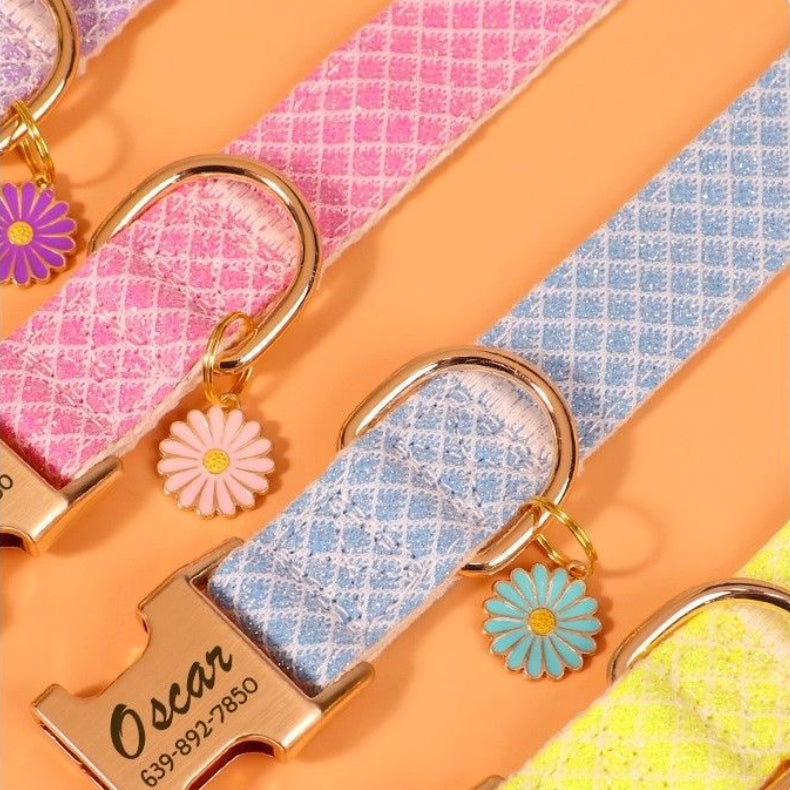 Custom Engraved Pet Information Anti-Lost Pet Macaron-Colored Webbing Collar