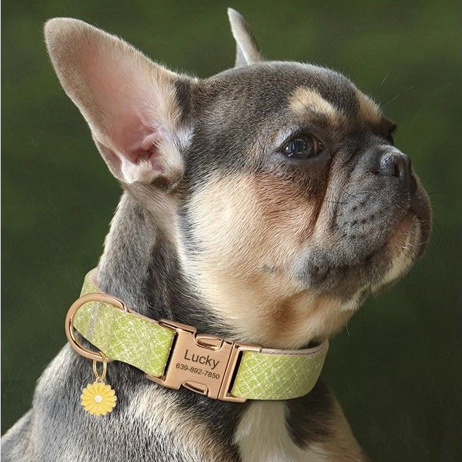 Custom Engraved Pet Information Anti-Lost Pet Macaron-Colored Webbing Collar