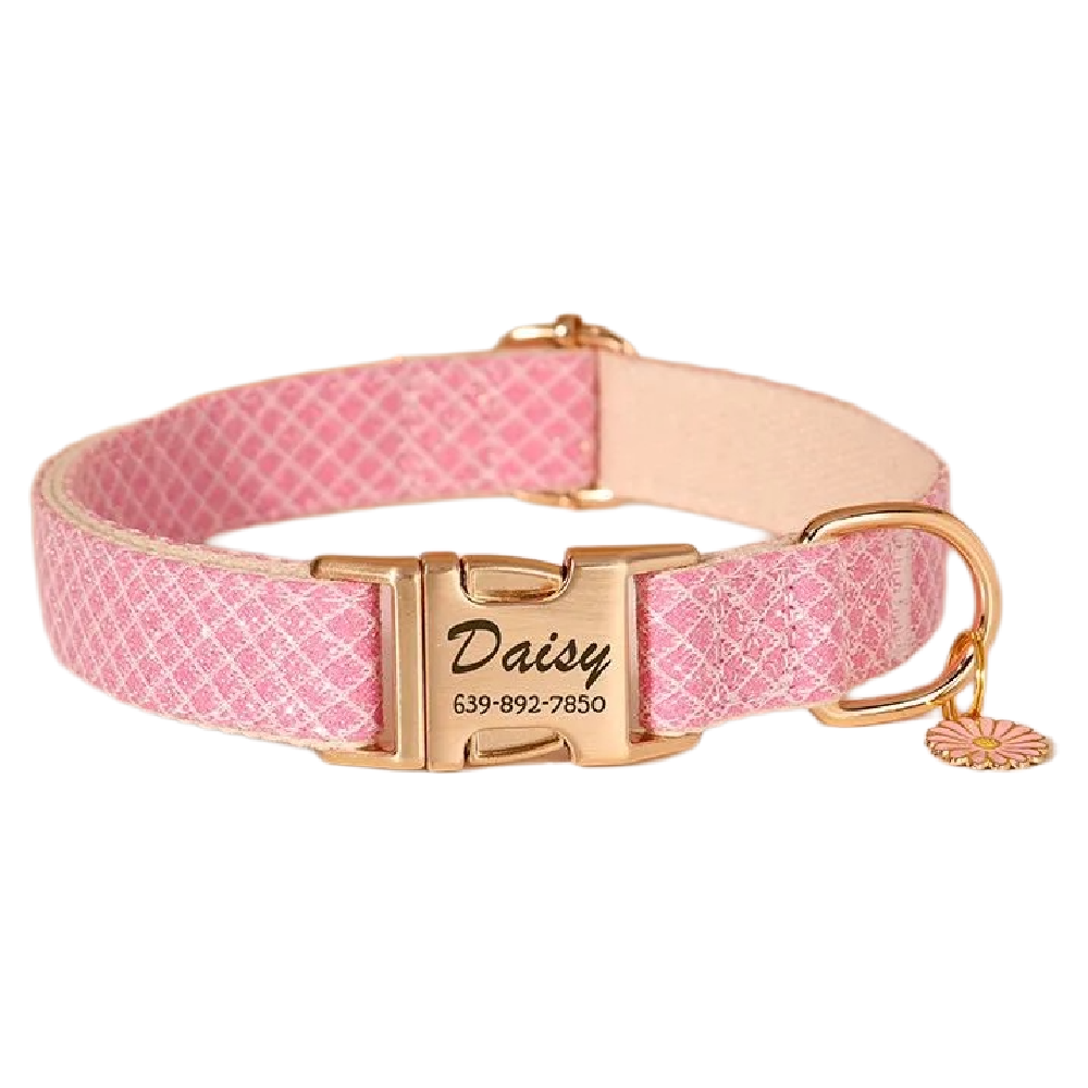 Custom Engraved Pet Information Anti-Lost Pet Macaron-Colored Webbing Collar