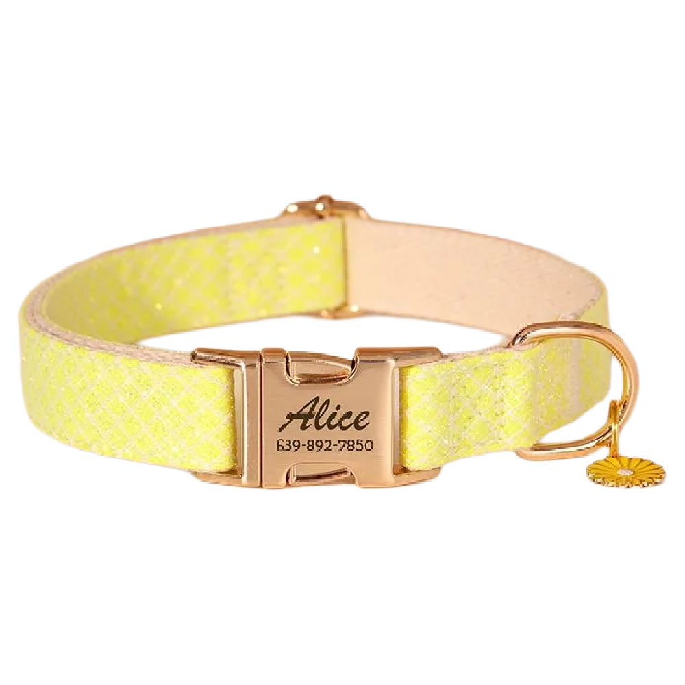 Custom Engraved Pet Information Anti-Lost Pet Macaron-Colored Webbing Collar
