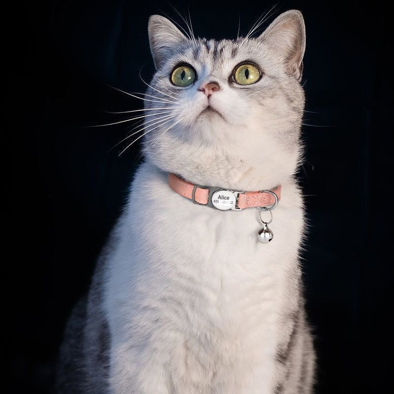 Personalized Anti-Choking Cat Collar: Leather Design with Custom Pet Details (Anti-Lost)
