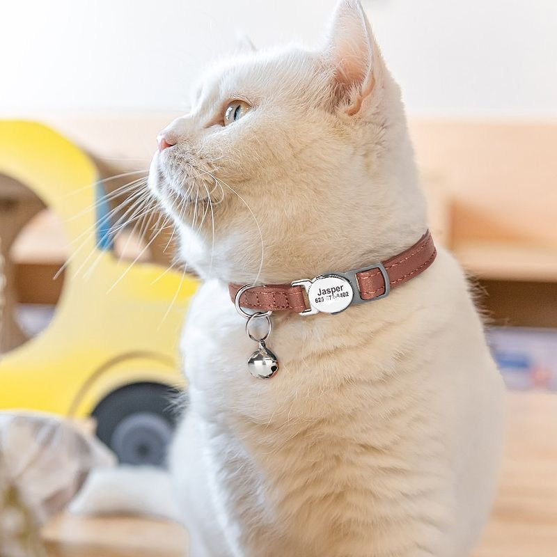 Personalized Anti-Choking Cat Collar: Leather Design with Custom Pet Details (Anti-Lost)