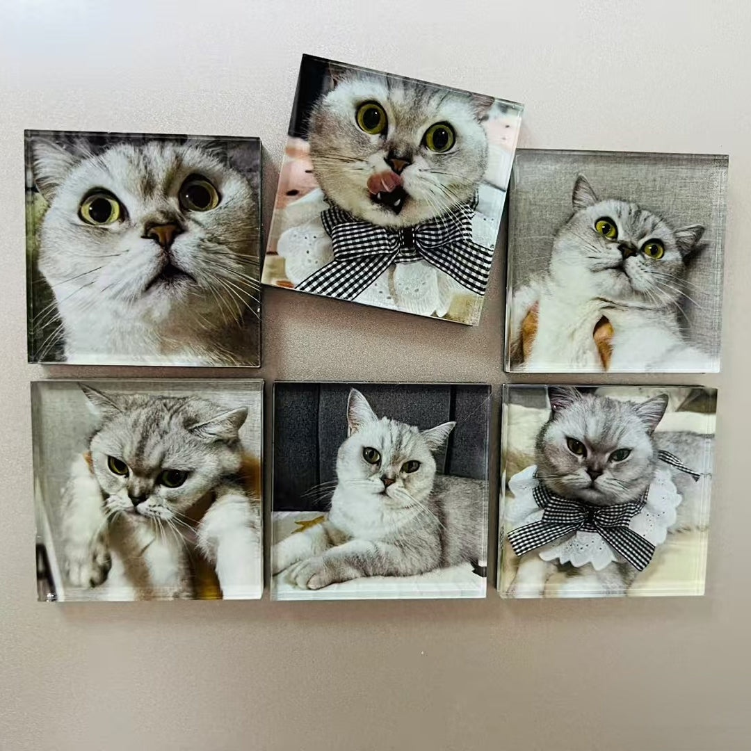 5-Pack Custom Pet Refrigerator Magnet