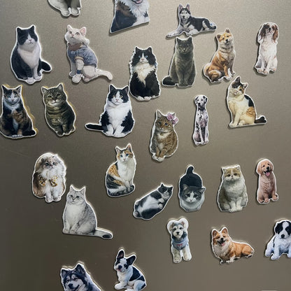 5-Pack Custom Pet Refrigerator Magnet