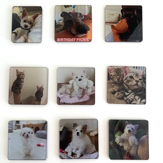 5-Pack Custom Pet Refrigerator Magnet