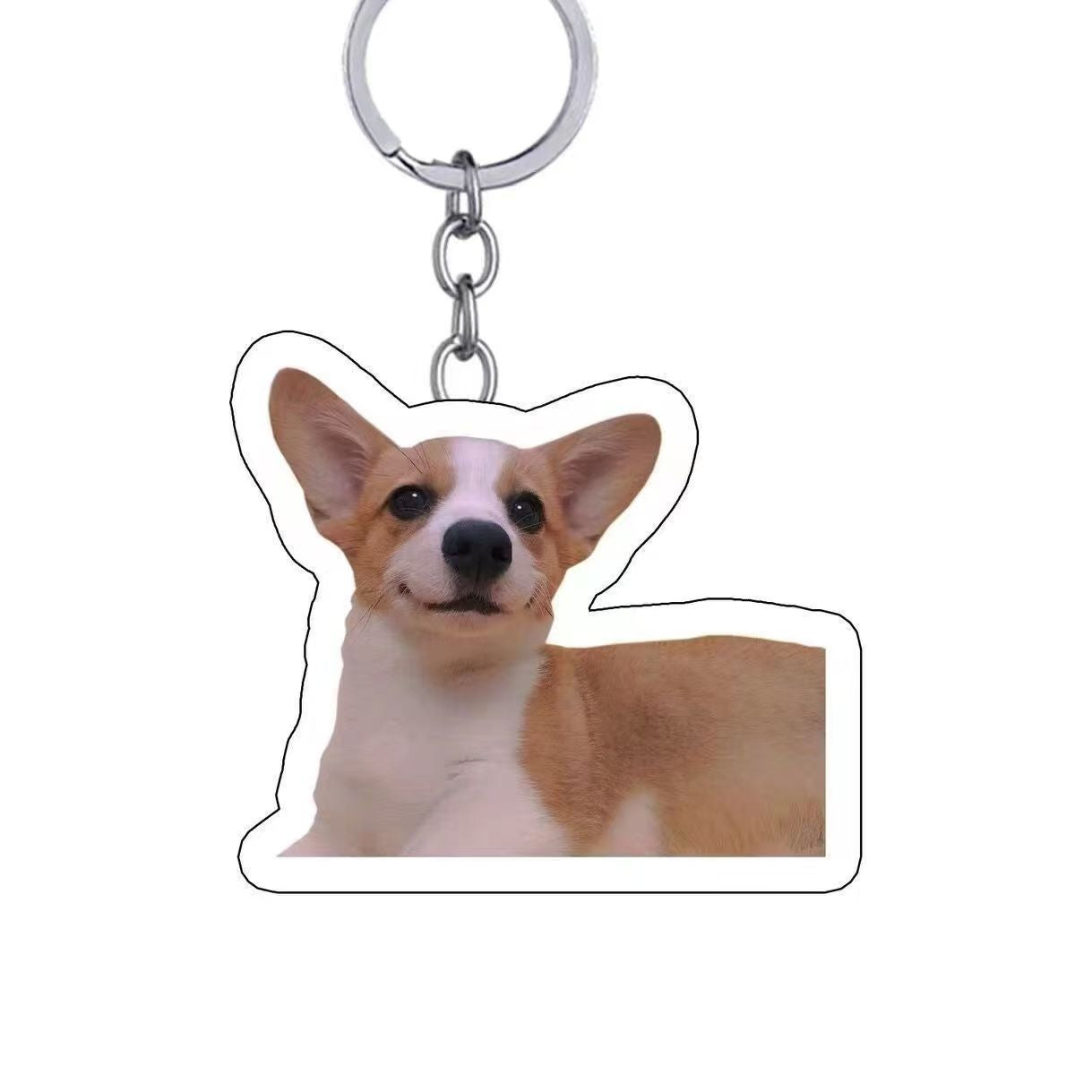 Custom Pet Photo Keychain & Backpack Charm