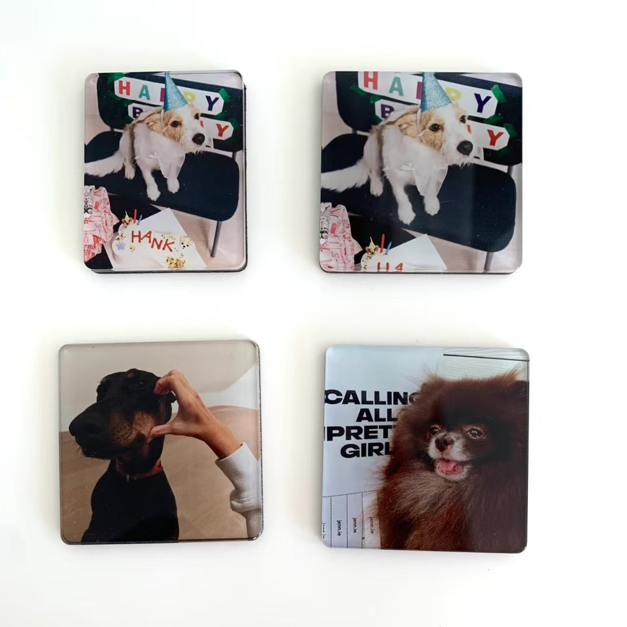 5-Pack Custom Pet Refrigerator Magnet