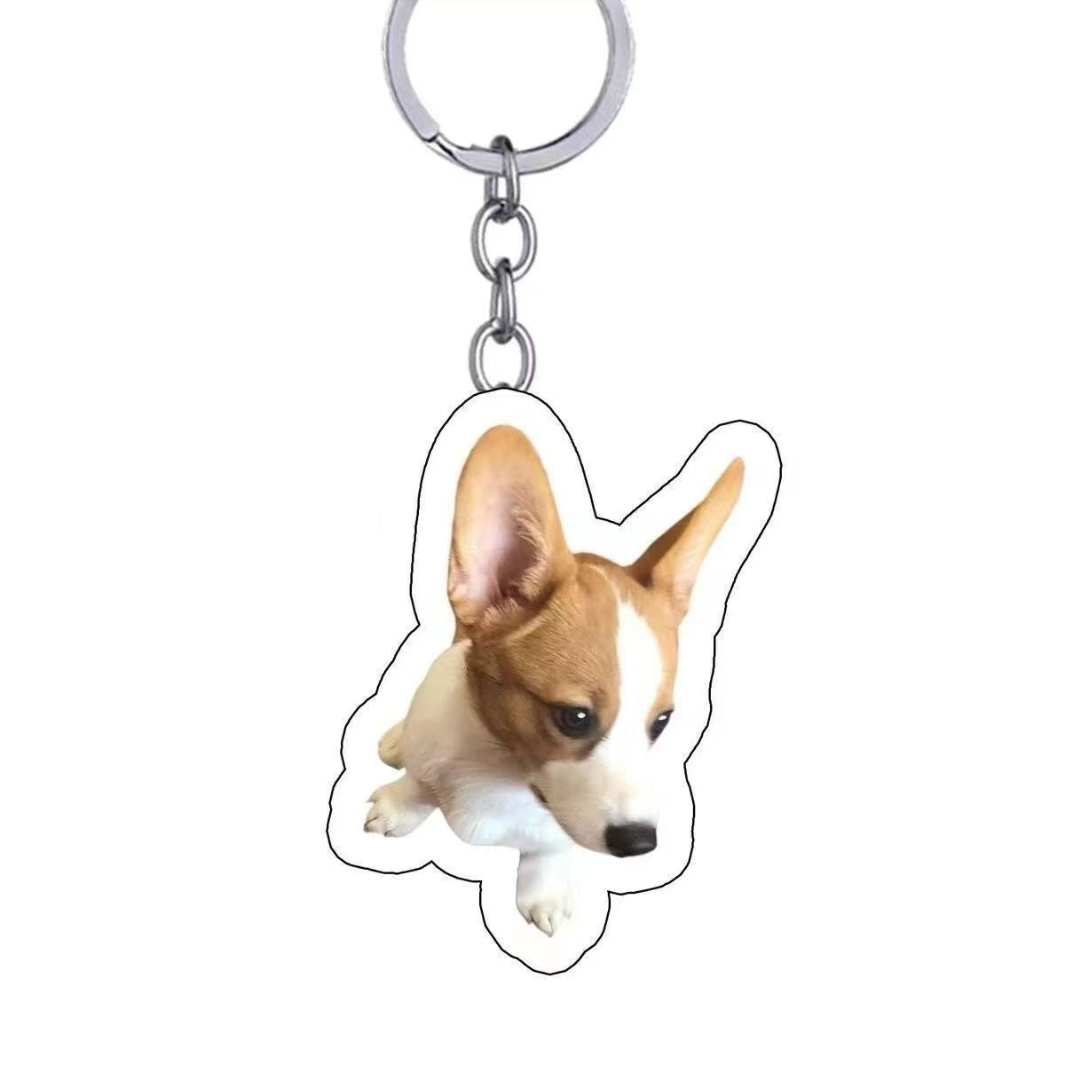 5-Pack Custom Pet Photo Keychain & Backpack Charm