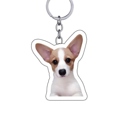 5-Pack Custom Pet Photo Keychain & Backpack Charm