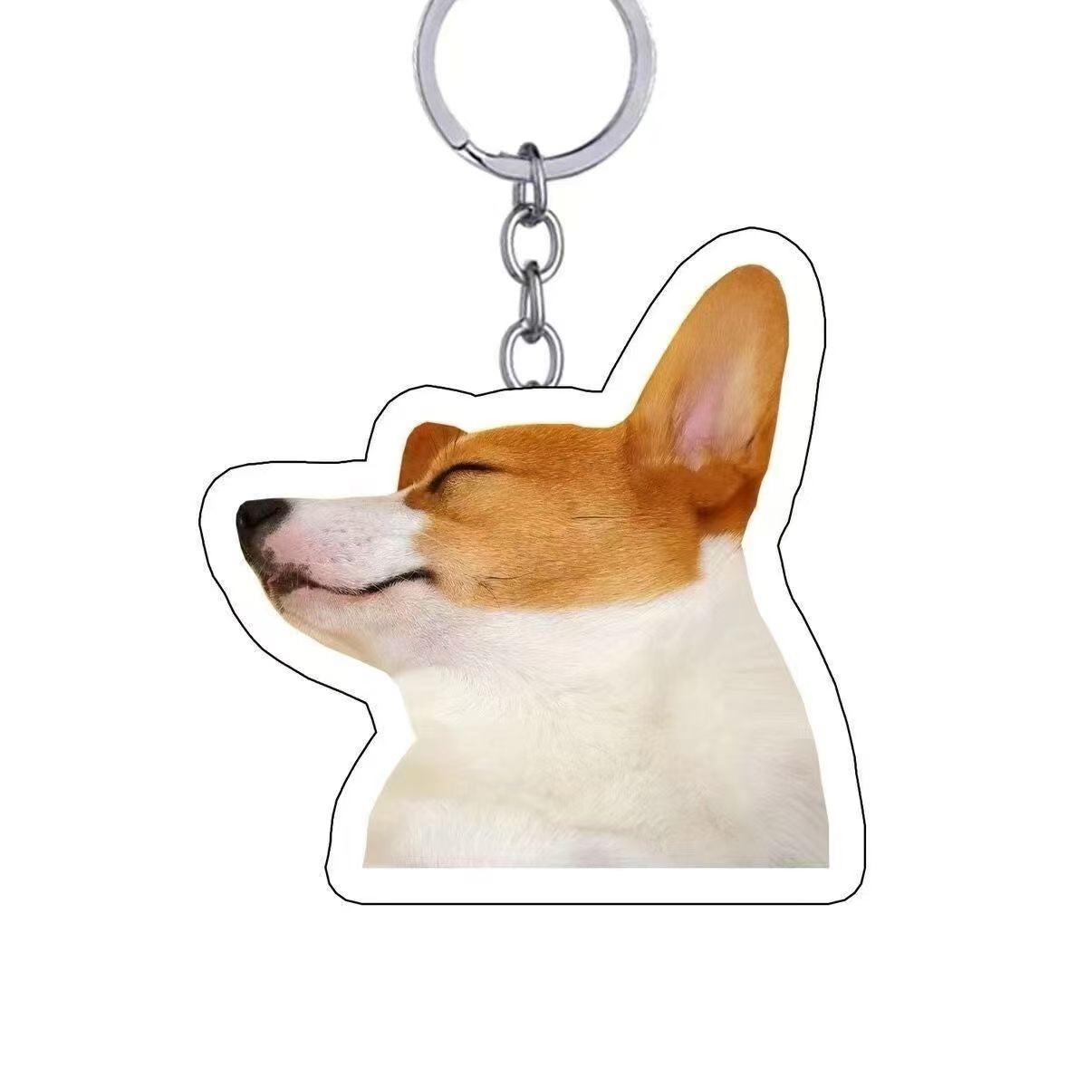 Custom Pet Photo Keychain & Backpack Charm