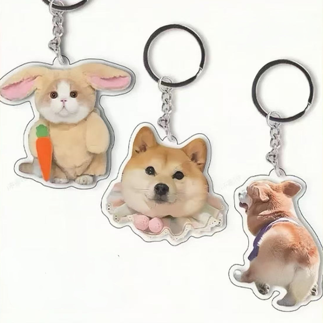 5-Pack Custom Pet Photo Keychain & Backpack Charm