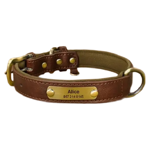 Custom Engraved Pet Information Anti-Lost Faux Leather Pet Collar