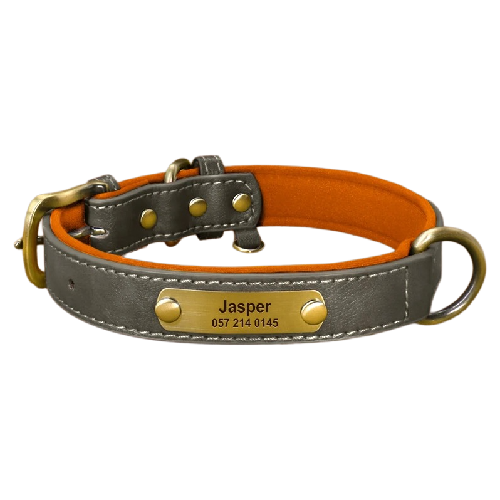 Custom Engraved Pet Information Anti-Lost Faux Leather Pet Collar