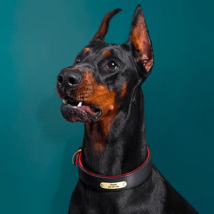 Custom Engraved Pet Information Anti-Lost Faux Leather Pet Collar