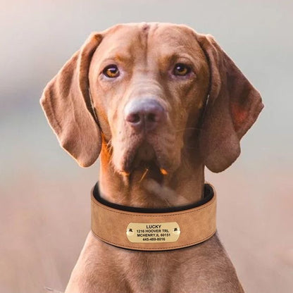 Widened & Thickened Faux Leather Pet Collar with Custom Engraved Pet Information – Anti-Lost, Designed for Medium and Large Dogs