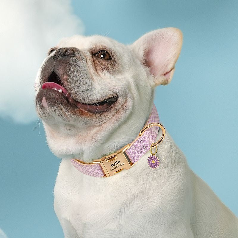 Custom Engraved Pet Information Anti-Lost Pet Macaron-Colored Webbing Collar