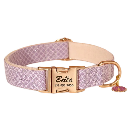 Custom Engraved Pet Information Anti-Lost Pet Macaron-Colored Webbing Collar