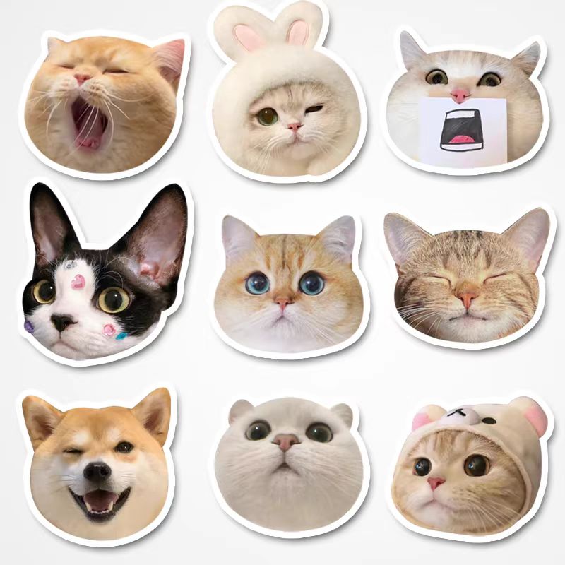 5-Pack Custom Pet Refrigerator Magnet