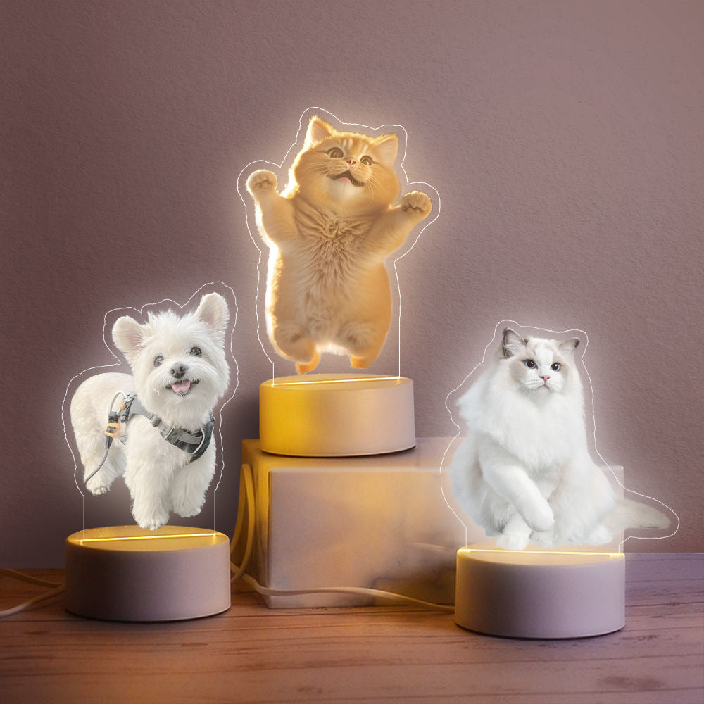 PawMemoir™ Rechargeable Pet Memorial Night Light – Custom Photo