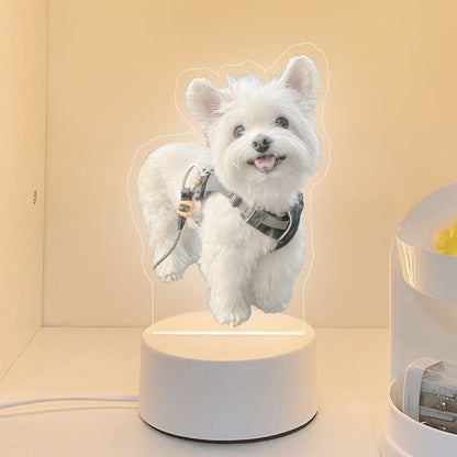 PawMemoir™ Rechargeable Pet Memorial Night Light – Custom Photo