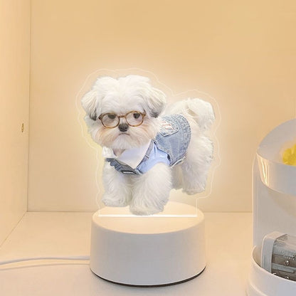 PawMemoir™ Rechargeable Pet Memorial Night Light – Custom Photo