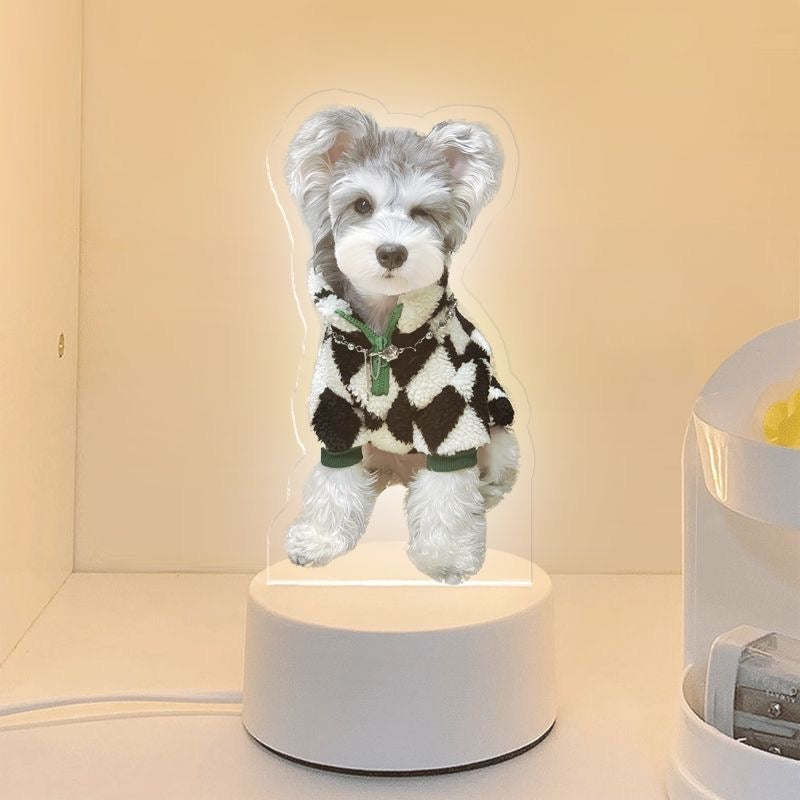 PawMemoir™ Rechargeable Pet Memorial Night Light – Custom Photo